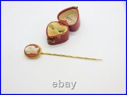 Hardstone Cameo 18ct Yellow Gold Cased Stick Pin Brooch Antique Victorian c1840