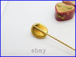Hardstone Cameo 18ct Yellow Gold Cased Stick Pin Brooch Antique Victorian c1840