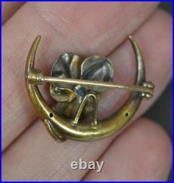 Rare Victorian Enamel and Gold Pansy Cresent Brooch Marked 14k Gold